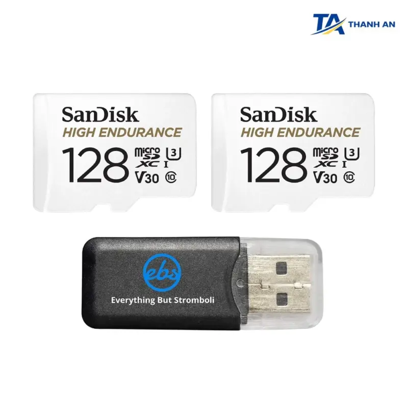 Thẻ nhớ SanDisk High Endurance microSDXC 64GB Chuyên Dụng Camera Giám Sát & Hành Trình - Ảnh 2